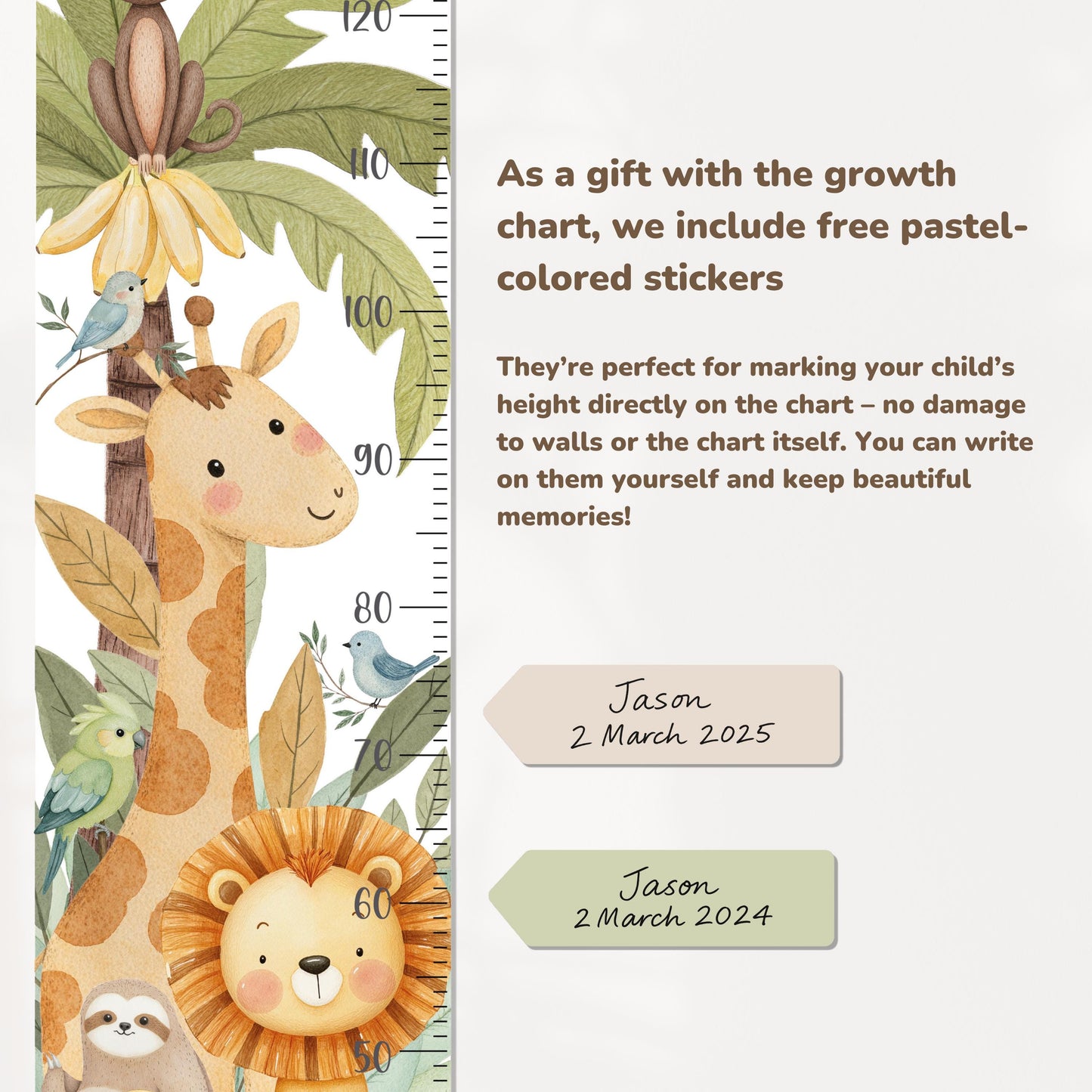 Jungle Animals Height Chart Wall Decals – Watercolor Growth Ruler with Giraffe, Monkey & Lion – Reusable Nursery Wall Art in Safari Theme